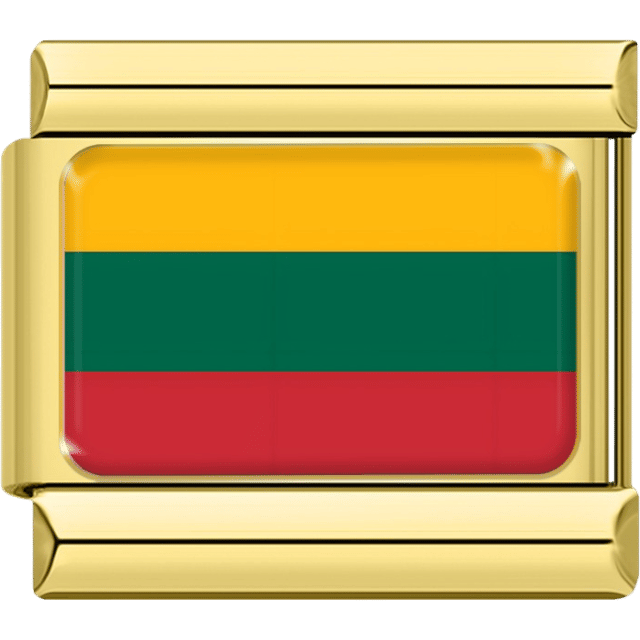 Flag of Lithuania with three horizontal stripes in yellow, green and red inside a gold charm frame