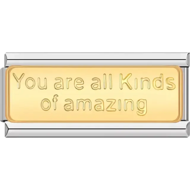 Gold with text "You are all kinds of amazing" Italian charm bracelet link