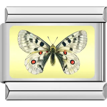 Butterfly with white wings black and red spots and yellow background Italian charm bracelet link