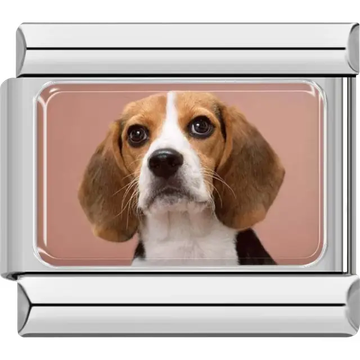 Beagle dog with floppy ears and a white and brown coat on a light brown background Italian charm bracelet link