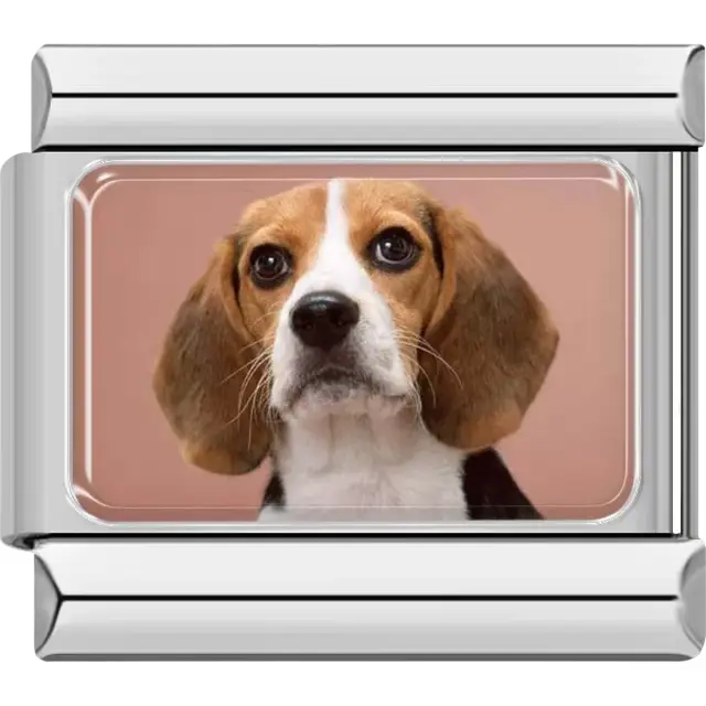 Beagle dog with floppy ears and a white and brown coat on a light brown background Italian charm bracelet link