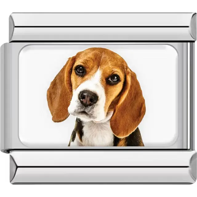 Brown white Beagle dog portrait Italian charm bracelet link