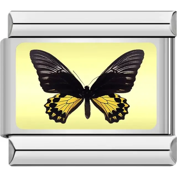 Butterfly with black upper wings yellow lower wings and a pale yellow background Italian charm bracelet link