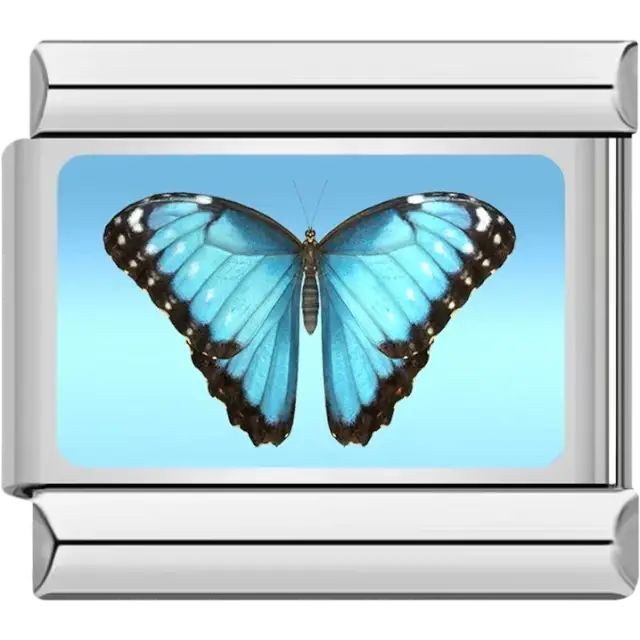 Butterfly with blue wings black edges and white spots Italian charm bracelet link