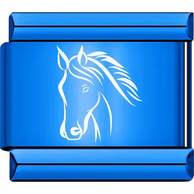 White horse head outline with flowing mane Italian charm bracelet link