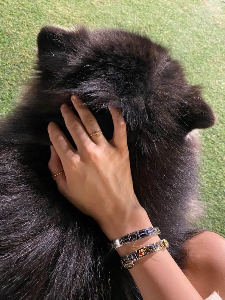 A woman's hand adorned with a gold star ring and a Chericherilady Italian charm bracelet with colorful enamel charms, gently petting a fluffy black Keeshond or Pomeranian dog lying on green grass.