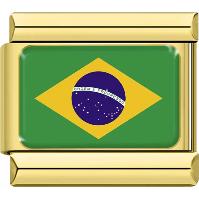 Brazil gold italian charm link