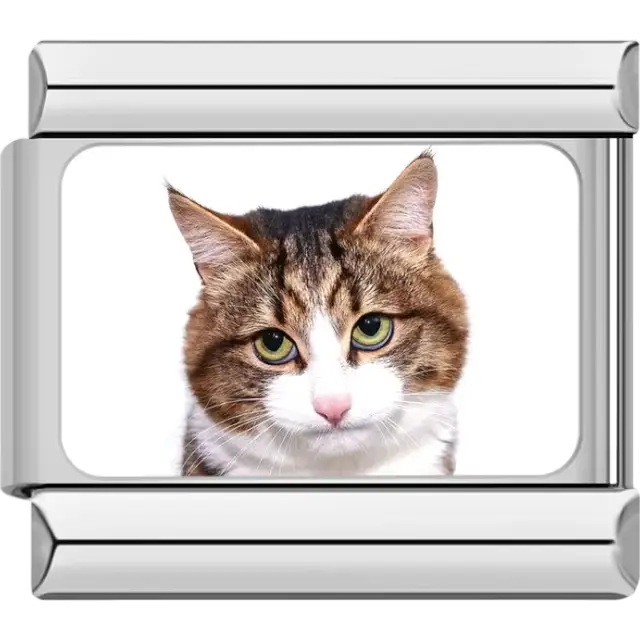 Close-up of brown tabby cat ears and fur on white background Italian charm bracelet link