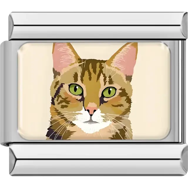 Brown tabby cat design featuring green eyes and striped fur Italian charm bracelet link