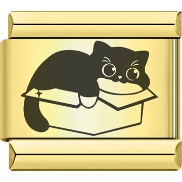 Cartoon black cat in box Italian charm bracelet link
