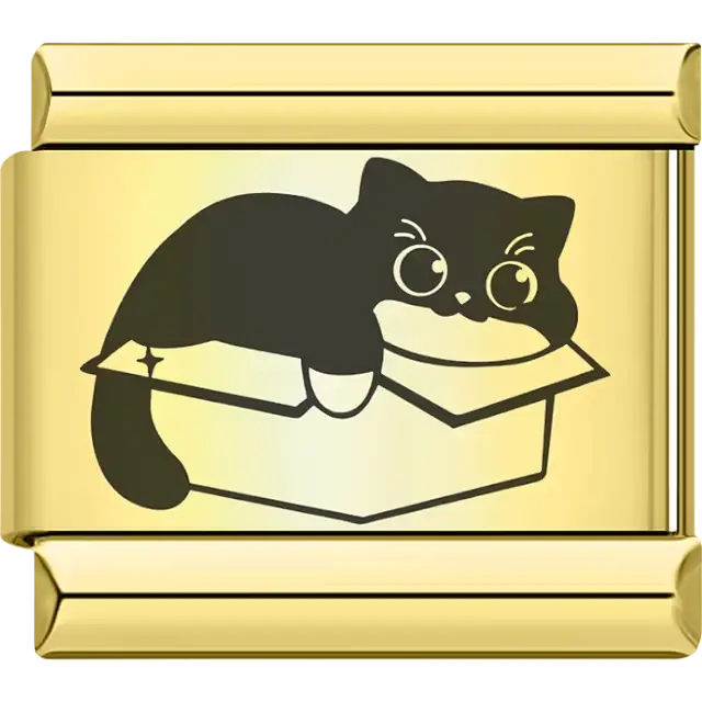 Cartoon black cat in box Italian charm bracelet link