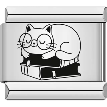 Sleeping cat wearing glasses resting on stacked books Italian charm bracelet link