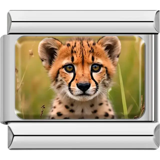 Close-up of a cheetah cub with a grassy background Italian charm bracelet link