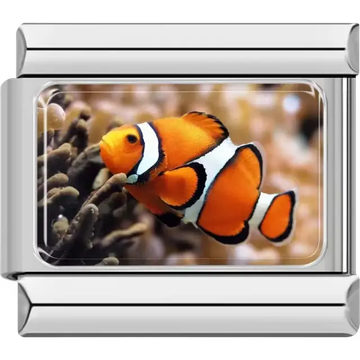 Orange clownfish with white and black stripes on a coral reef background Italian charm bracelet link