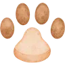 Brown paw watercolor illustration