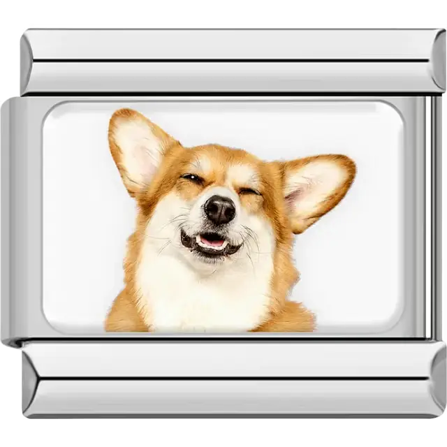 Orange white Corgi dog portrait Italian charm bracelet link