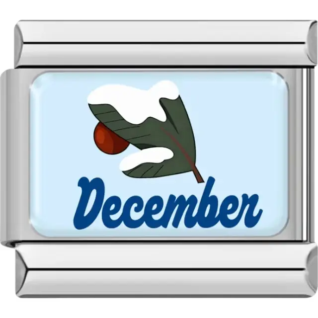 Snow-covered green leaf with acorn and "December" in blue on light blue background Italian charm bracelet link
