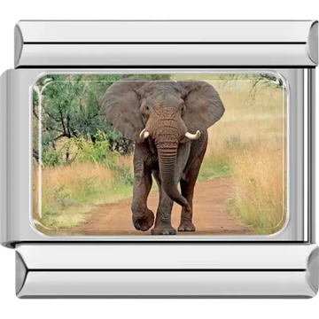 Elephant walking on a dirt path in a green savanna Italian charm bracelet link