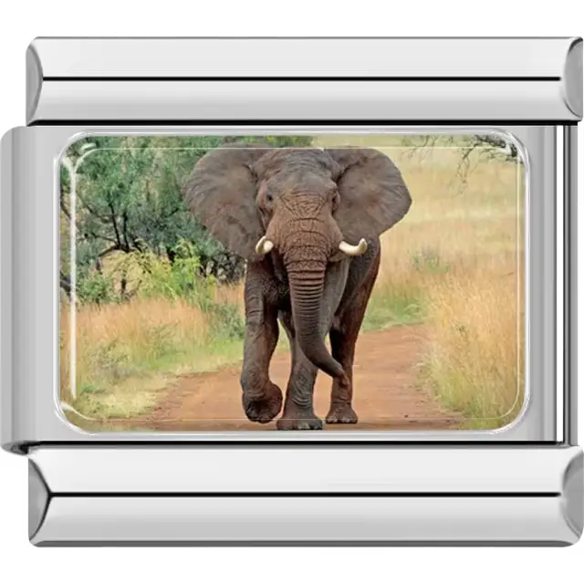 Elephant walking on a dirt path in a green savanna Italian charm bracelet link