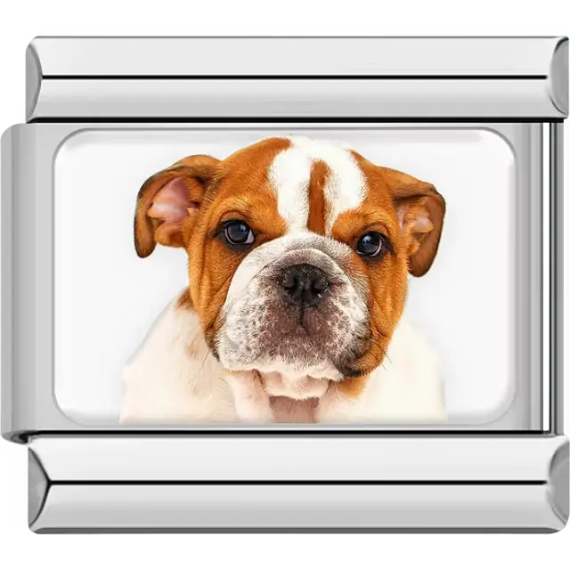 Orange white English Bulldog dog portrait Italian charm bracelet link