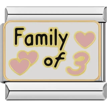 "Family of 3" text with pink hearts Italian charm bracelet link