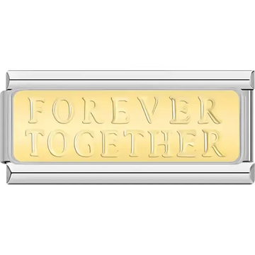 Gold plate with raised "FOREVER TOGETHER" text Italian charm bracelet link