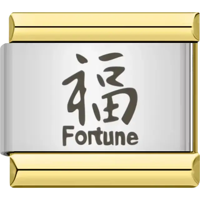 Kanji symbol for "Fortune" in black with small English text Italian charm bracelet link
