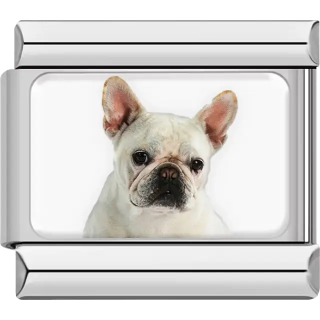 White French Bulldog dog portrait Italian charm bracelet link