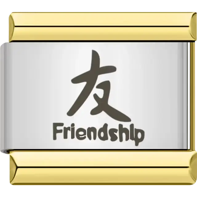 Kanji symbol for "Friendship" in black with small English text Italian charm bracelet link