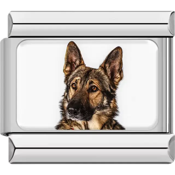 Black tan German Shepherd dog portrait Italian charm bracelet link