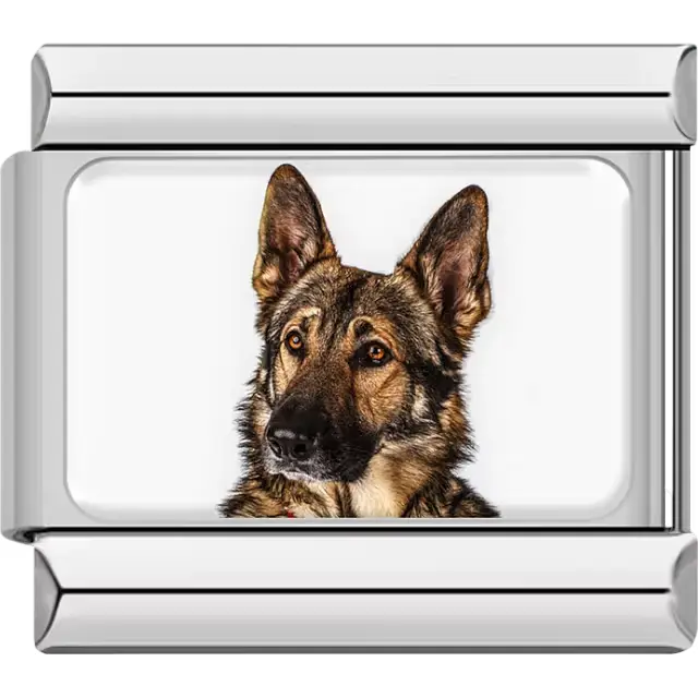 Black tan German Shepherd dog portrait Italian charm bracelet link