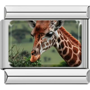Close-up of a giraffe feeding on green leaves with a blurred natural background Italian charm bracelet link