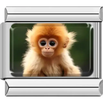 Golden monkey with fluffy fur and a green background Italian charm bracelet link