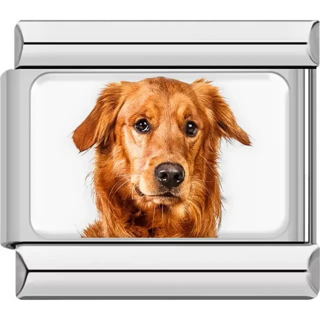 Orange Golden Retriever dog portrait Italian charm bracelet link