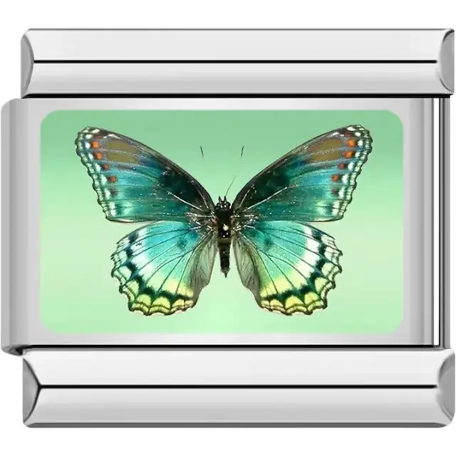 Butterfly with green and blue wings orange tips and a light green background Italian charm bracelet link