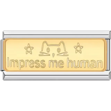Gold charm with cat face stars and text "Impress me human" Italian charm bracelet link