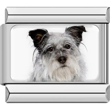 Gray white Jack Russell Terrier dog portrait Italian charm bracelet link