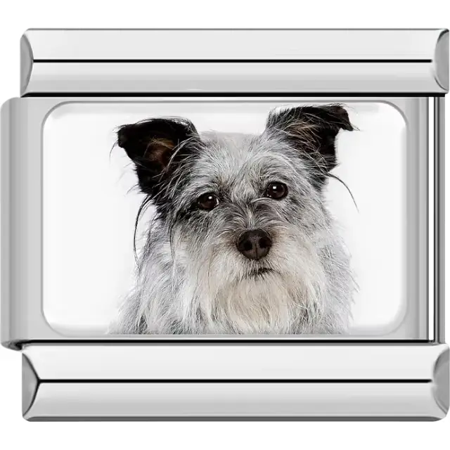 Gray white Jack Russell Terrier dog portrait Italian charm bracelet link