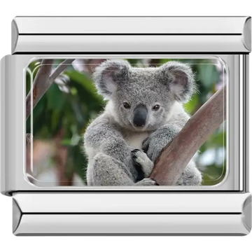Koala sitting on a tree branch against a lush green background Italian charm bracelet link