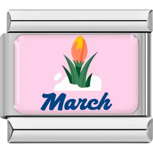 Orange and yellow flower with green leaves snow and "March" in blue on pink background Italian charm bracelet link