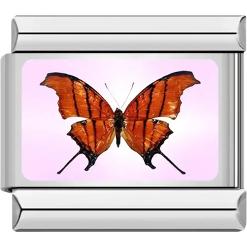 Butterfly with orange wings black stripes and a light pink background Italian charm bracelet link