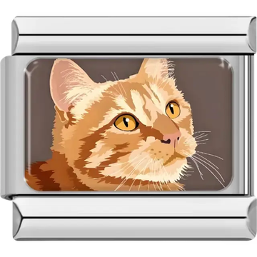 Orange tabby cat design featuring amber eyes and detailed striped fur Italian charm bracelet link
