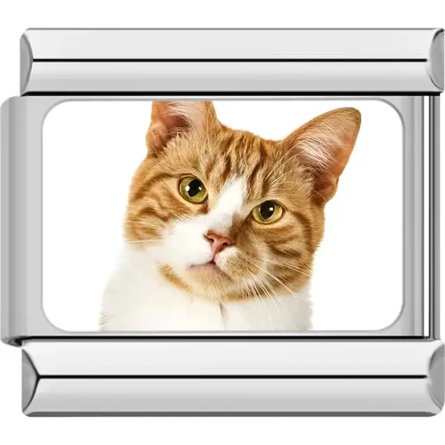 Close-up of orange tabby cat with white fur and pointed ears on white background Italian charm bracelet link