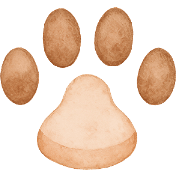 Brown paw watercolor illustration