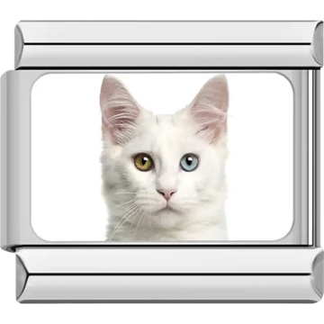 Close-up of white cat with pink ears on white background Italian charm bracelet link