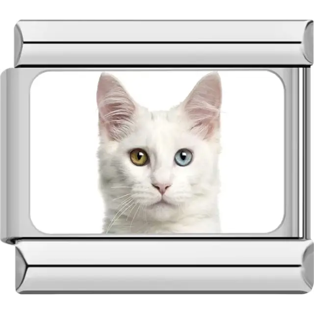 Close-up of white cat with pink ears on white background Italian charm bracelet link