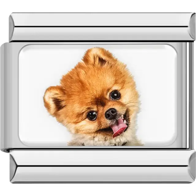 Orange Pomeranian dog portrait Italian charm bracelet link