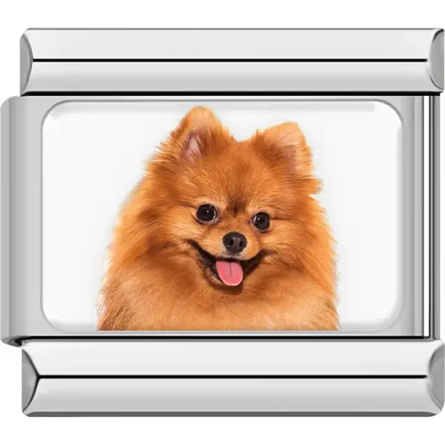 Orange Pomeranian dog portrait Italian charm bracelet link