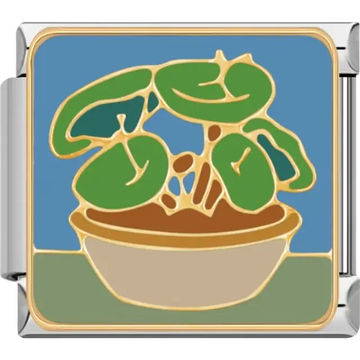 Green pilea plant with round leaves in beige pot and gold outlines on blue and green background Italian charm bracelet link
