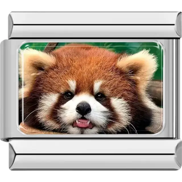 Close-up of a red panda face with brown fur and white markings Italian charm bracelet link